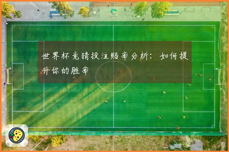世界杯竞猜投注赔率分析：如何提升你的胜率