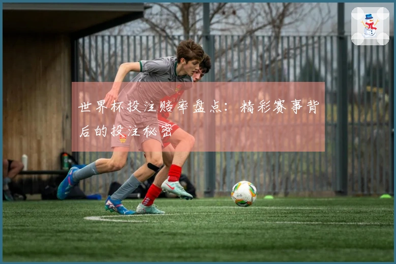 世界杯投注赔率盘点：精彩赛事背后的投注秘密