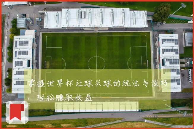 掌握世界杯让球买球的玩法与技巧，轻松赚取收益
