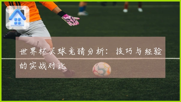 世界杯买球竞猜分析：技巧与经验的实战对比