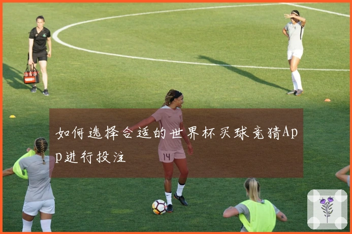 如何选择合适的世界杯买球竞猜App进行投注