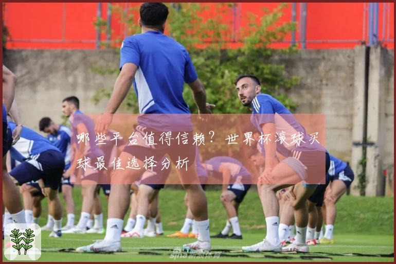 哪些平台值得信赖？世界杯滚球买球最佳选择分析