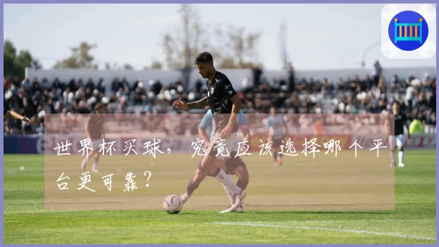 世界杯买球，究竟应该选择哪个平台更可靠？