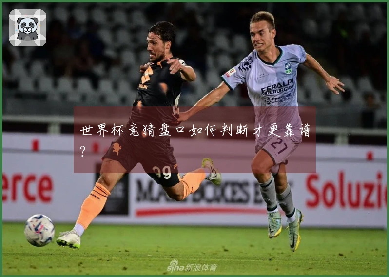 世界杯竞猜盘口如何判断才更靠谱？