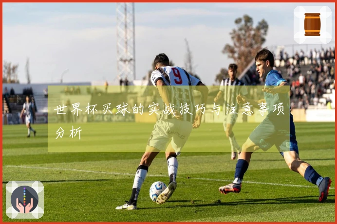 世界杯买球的实战技巧与注意事项分析