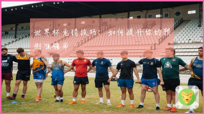 世界杯竞猜技巧：如何提升你的预测准确率