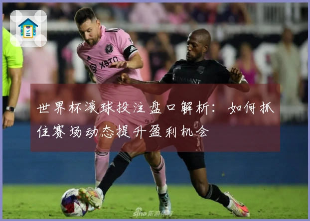 世界杯滚球投注盘口解析：如何抓住赛场动态提升盈利机会