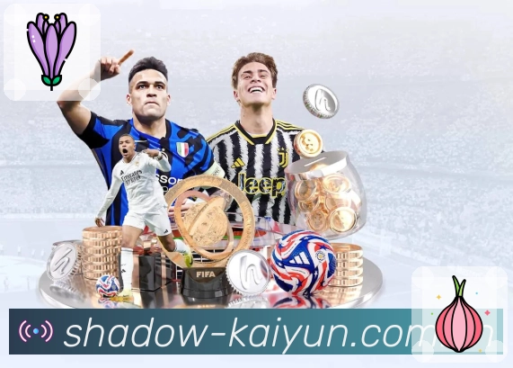 入口置顶与分类